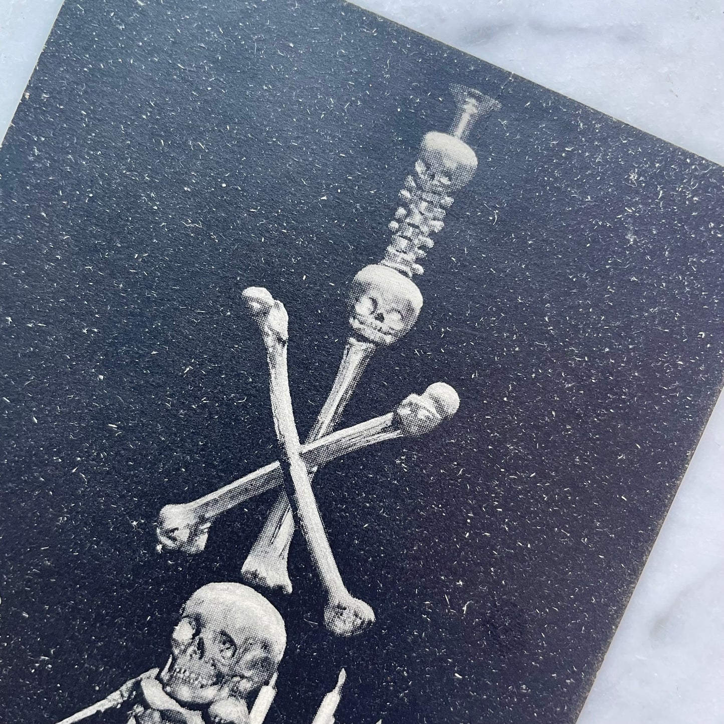 Cabaret du Néant | Antique Postcard