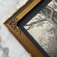 Victorian Spiderweb Engraving