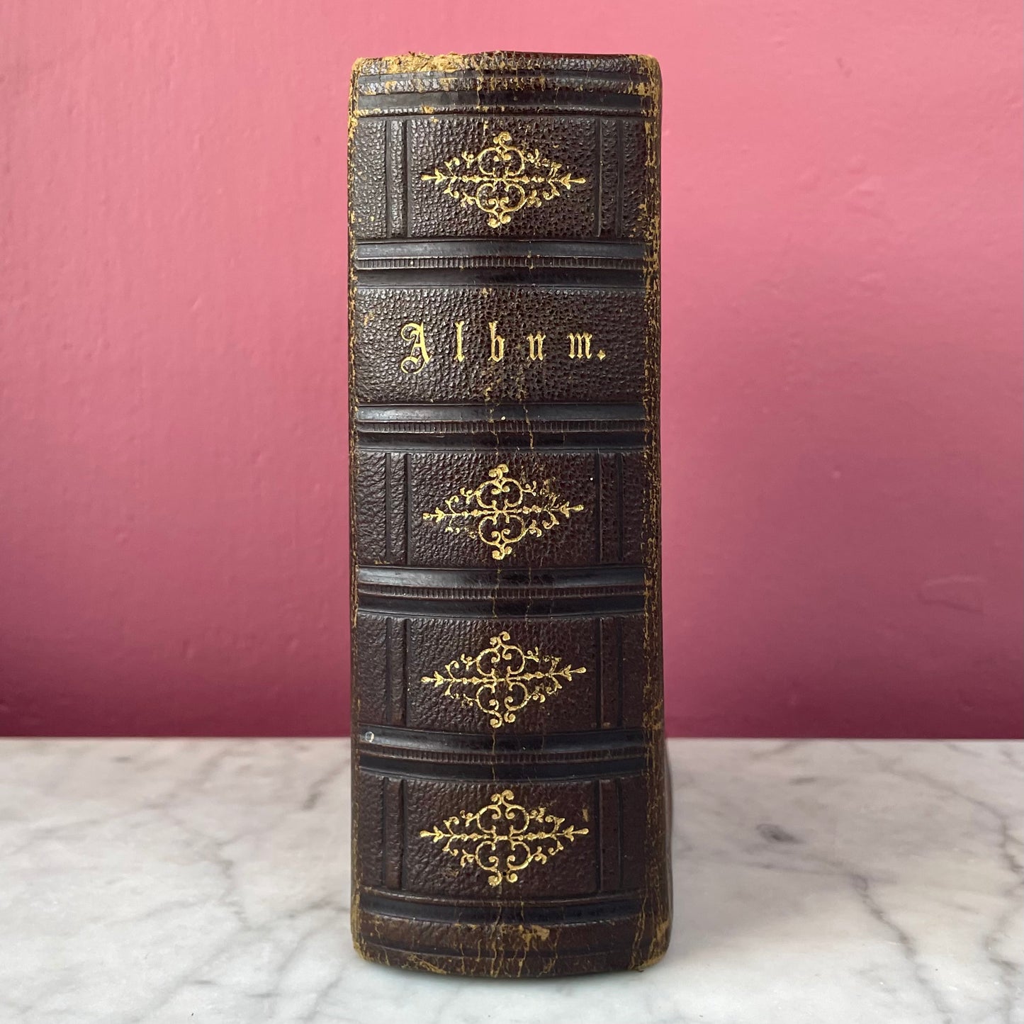 Victorian Photo Album | Tintypes & CDVs