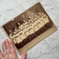 Antique Choir Boy Cabinet Card
