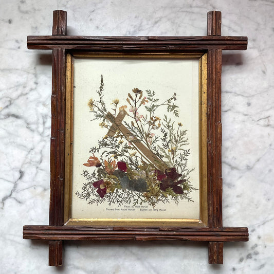 Pressed Flowers from the Holy Land in Adirondack Frame