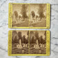 Forest Hills Cemetery Stereocards
