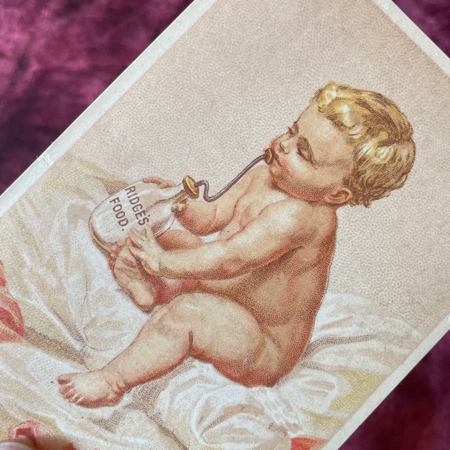 Murder Bottle | Victorian Self Feeding Baby Bottle Lithograph Card for Ridge’s Food
