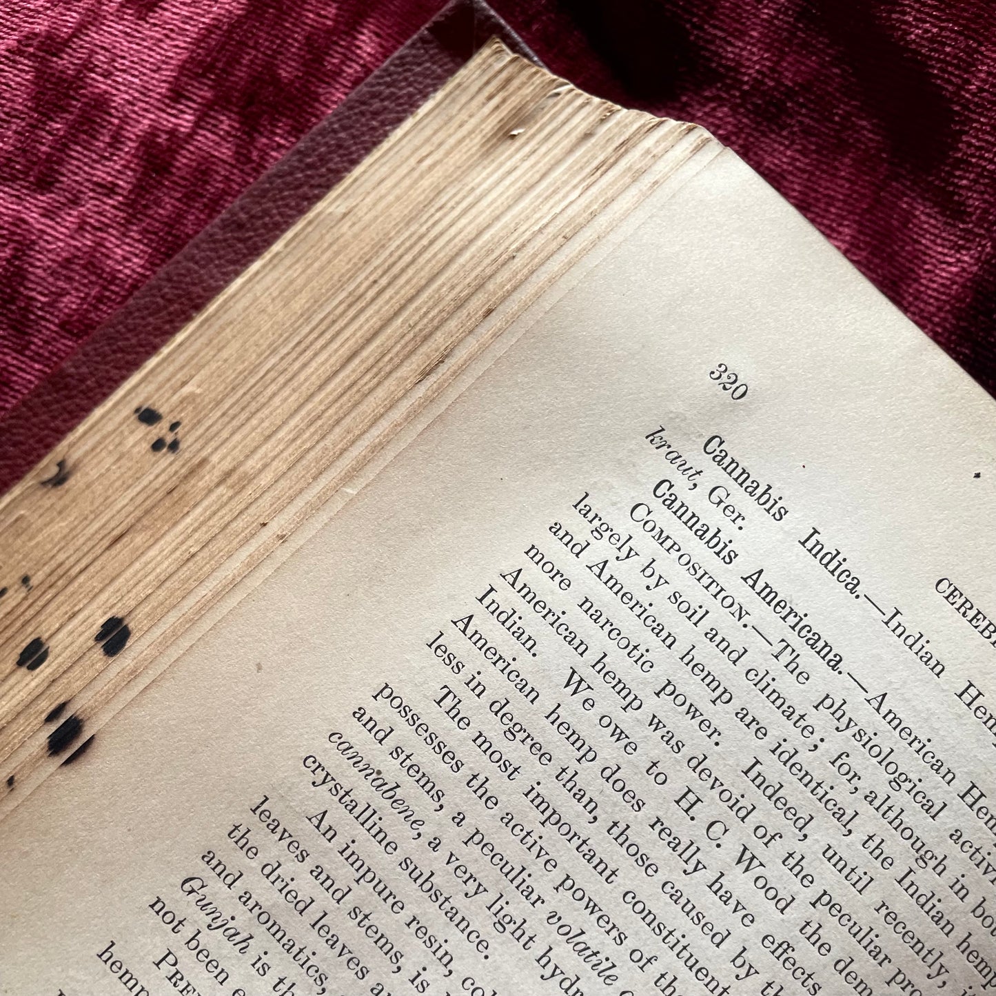 Materia Medica | 1878 Pharmacology Text Book
