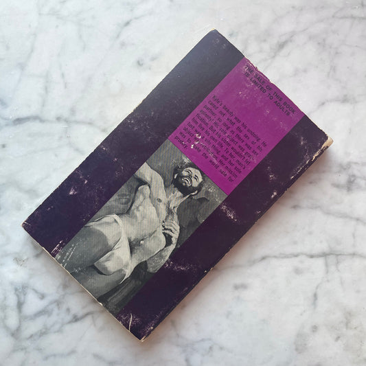 The Good Boy | Peter Tuesday Hughes | 1970