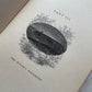 The Witch’s Daughter or Mabel Martin: A Harvest Idyl | Whittier | 1876
