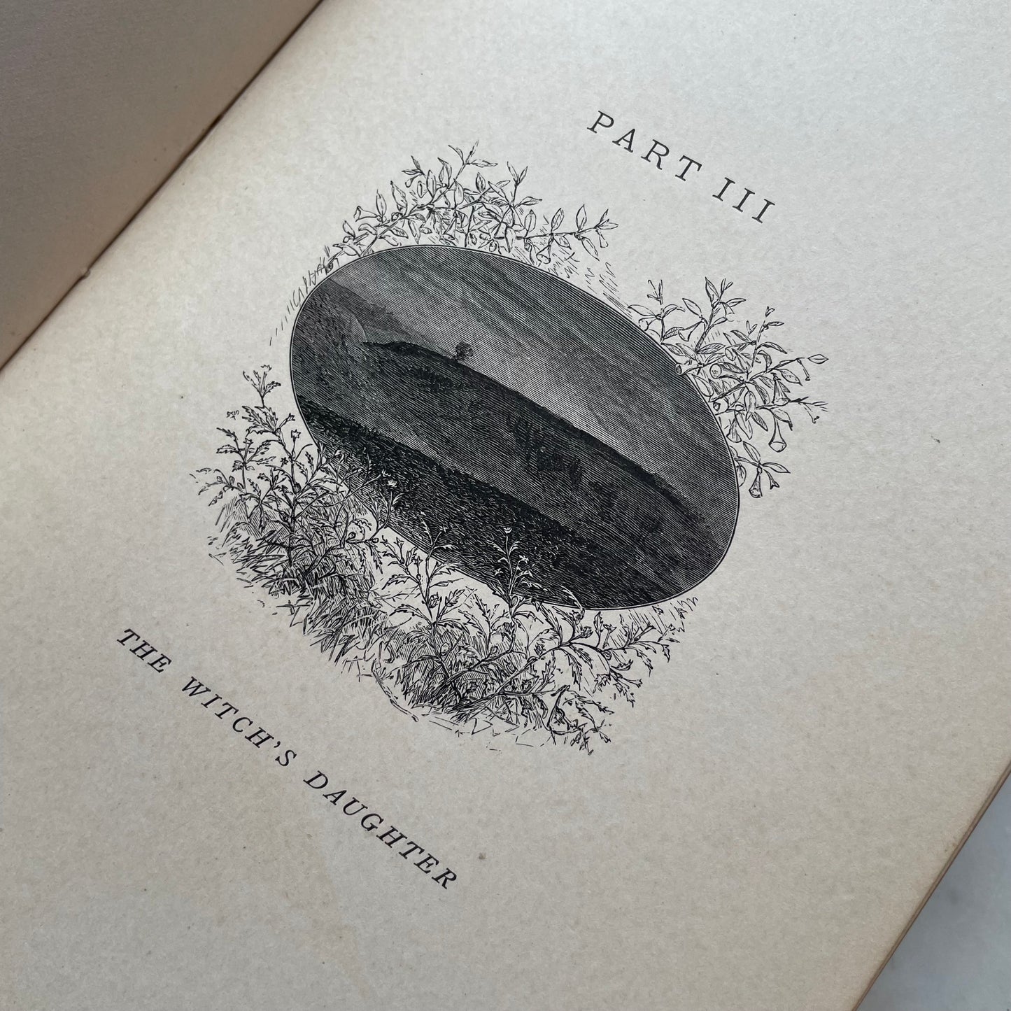 The Witch’s Daughter or Mabel Martin: A Harvest Idyl | Whittier | 1876