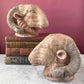 Antique Neoclassical Rams Heads