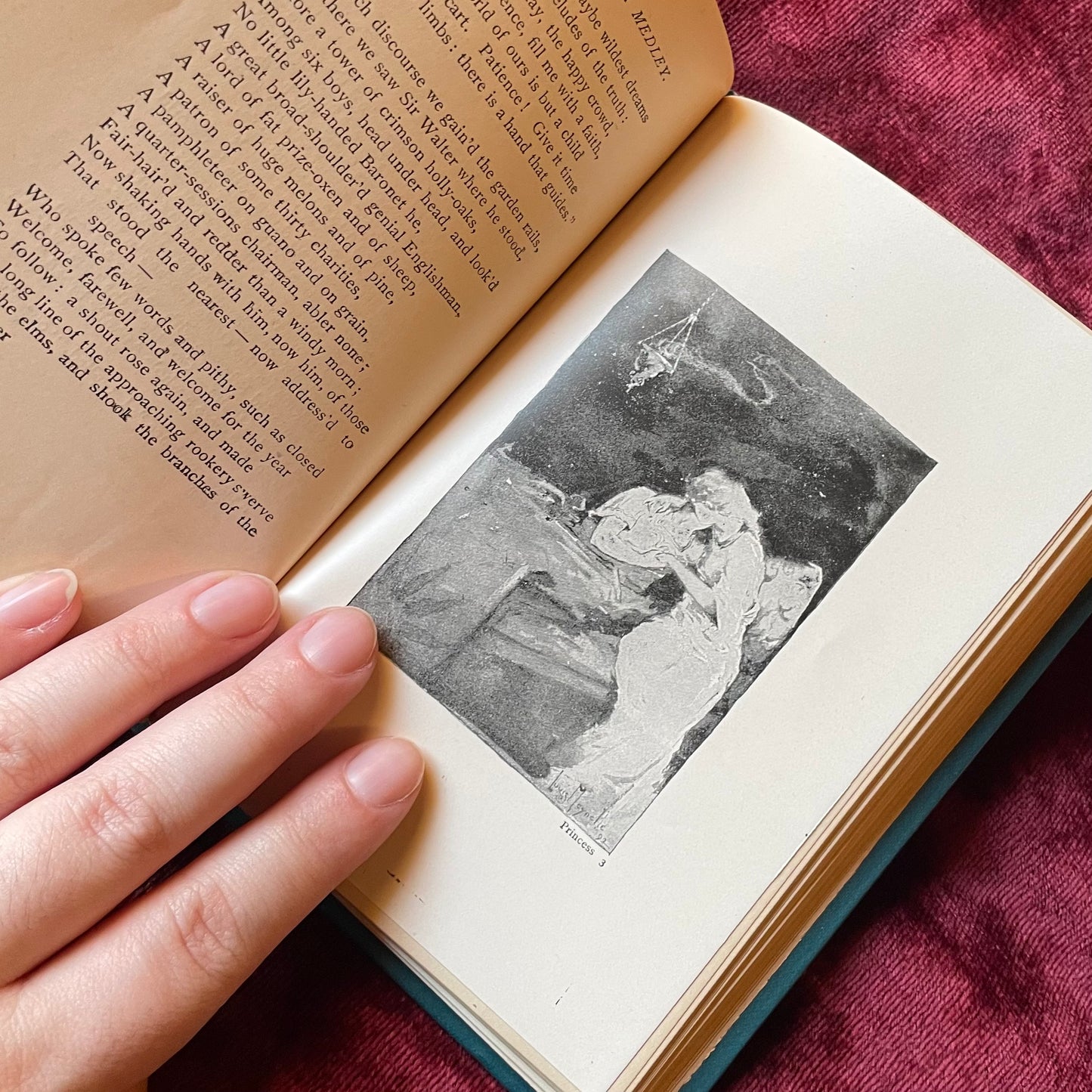 Decorative Binding | The Princess & Maud | Henry Altemus