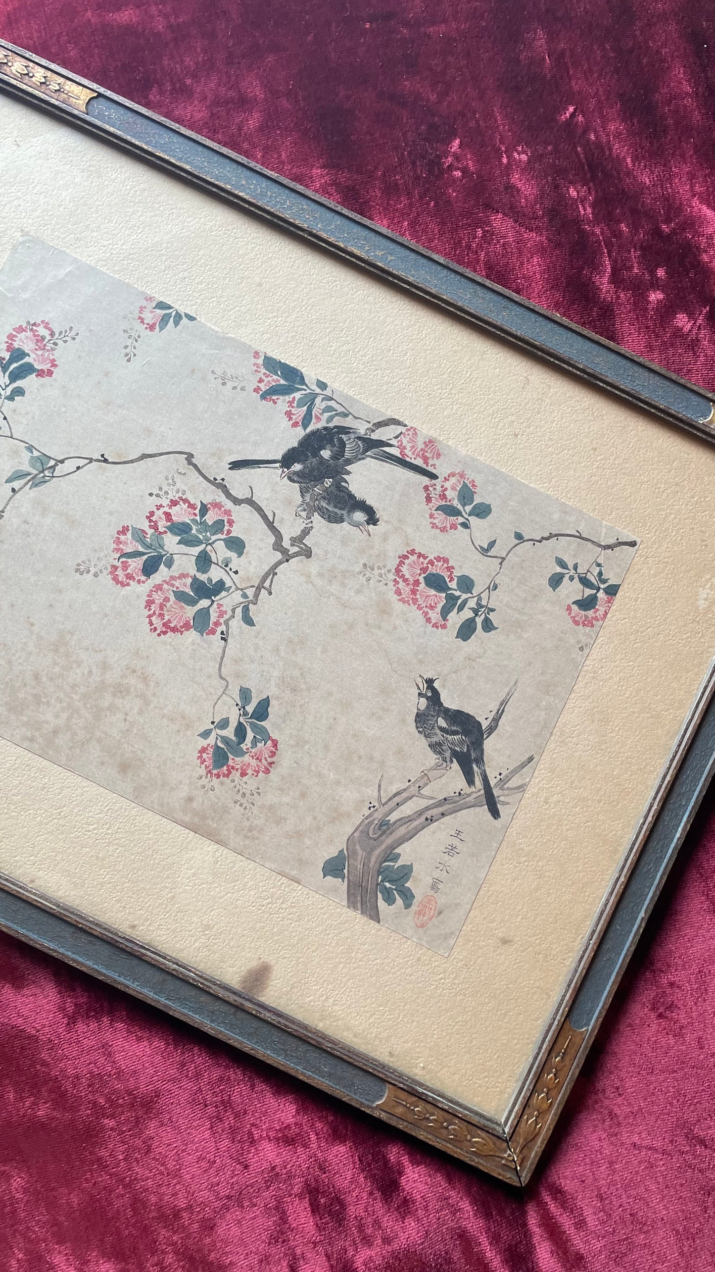 Crepe Myrtle by Wang Ruoshui aka Wang Yuan| Antique Print