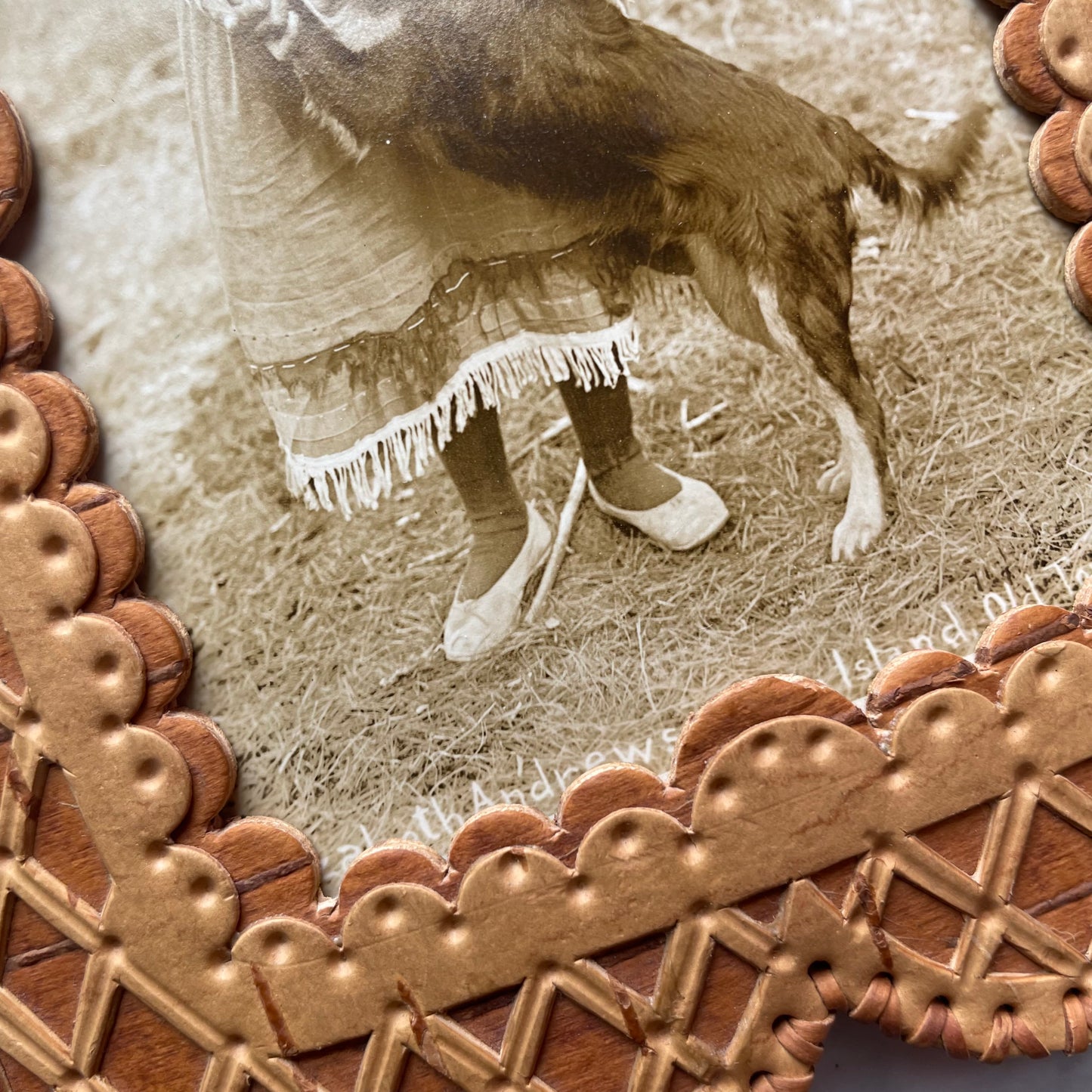 Antique RPPC of Native Girl with her Dog in Birch Bark Frame