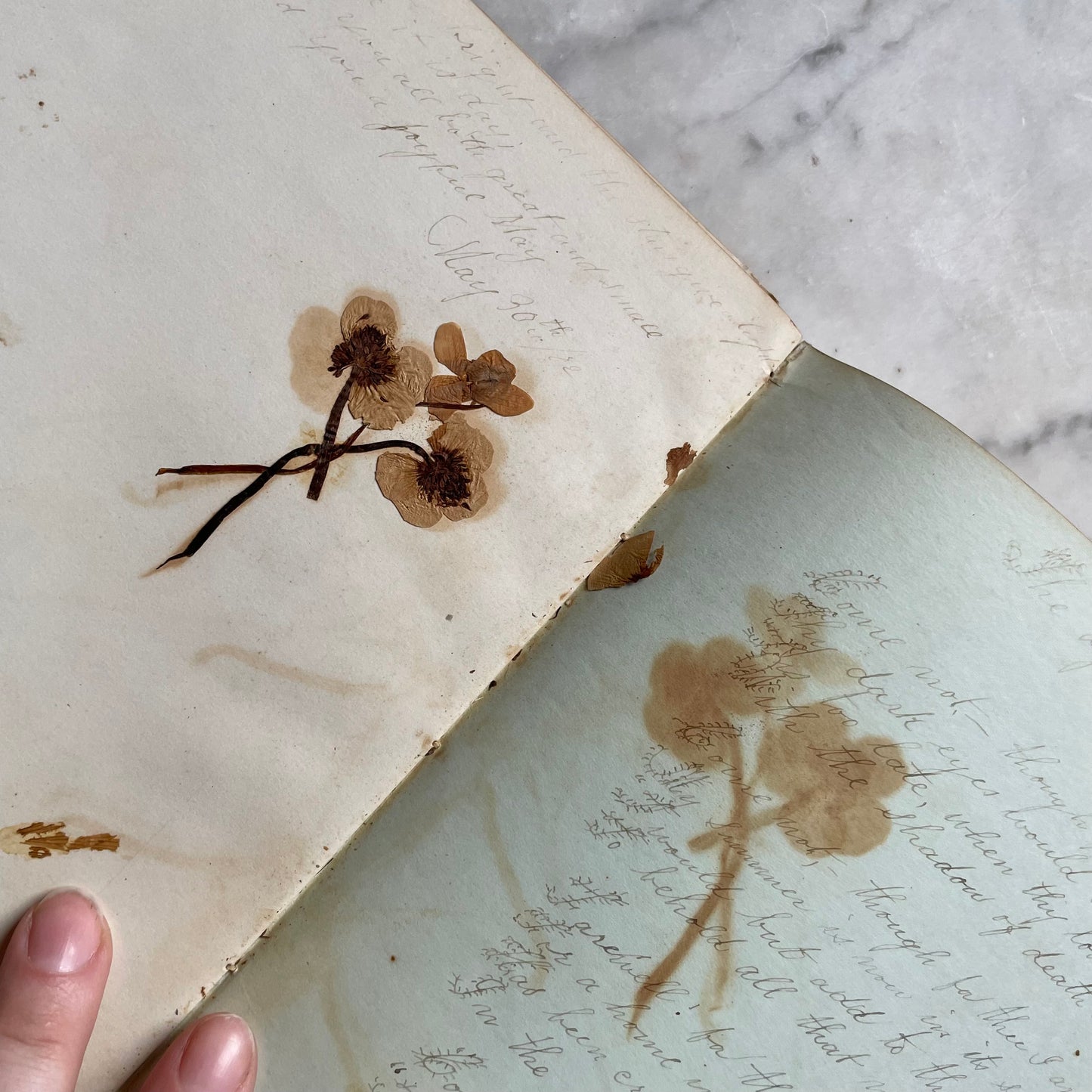 Victorian Autograph Album