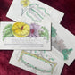Early Victorian Hand Colored Calling Cards