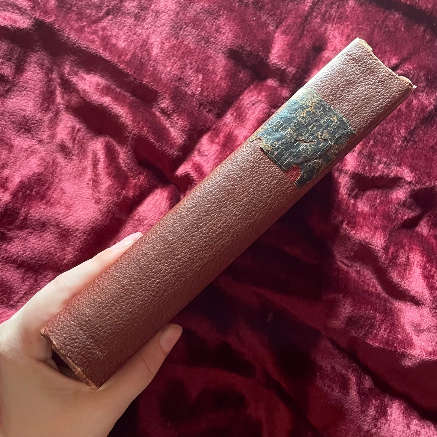 Materia Medica | 1878 Pharmacology Text Book