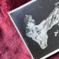 Bacchantes | Real Photo Postcards