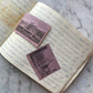 Antique Penmanship Album with Die Cuts | 1842