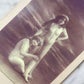 Antique Risqué Cabinet Card Photo of Two Nude Women