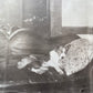 Sleepy Puppy | Antique RPPC