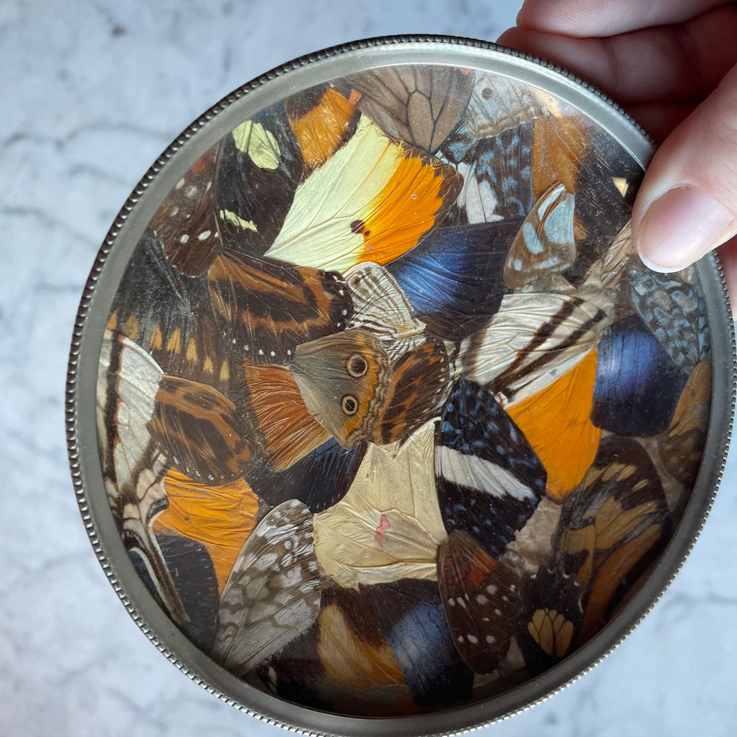 Vintage Butterfly Wing Ash Tray