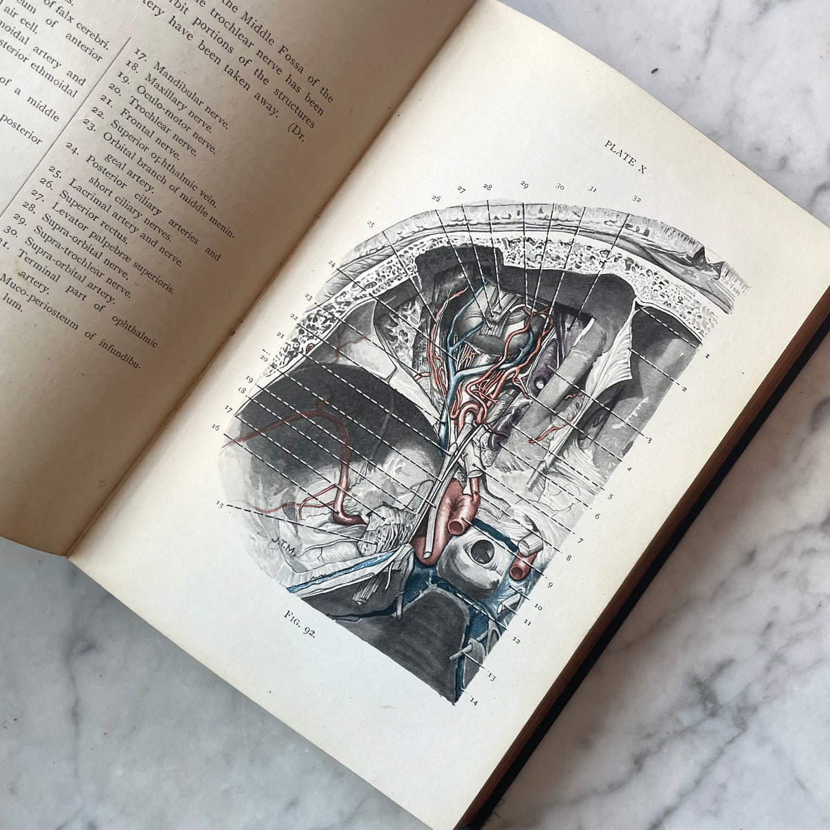 Cunningham’s Manual of Practical Anatomy | Volume III: Head and Neck | 1920