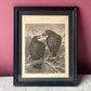 A Kind Rook | Victorian Framed Print