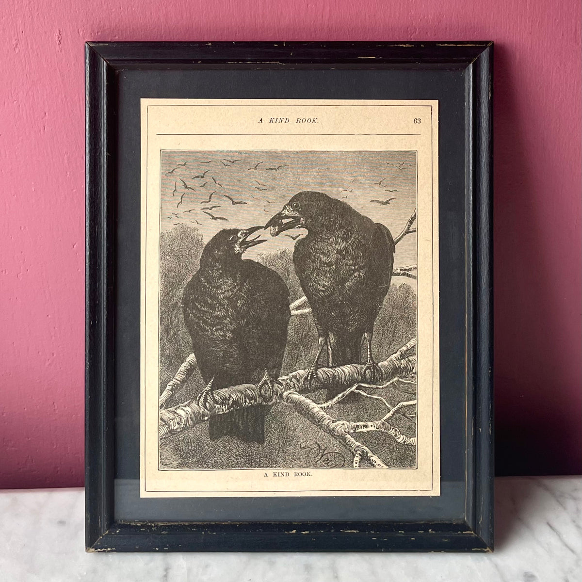 A Kind Rook | Victorian Framed Print