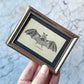 Baby Bat | Miniature Antique Framed Print