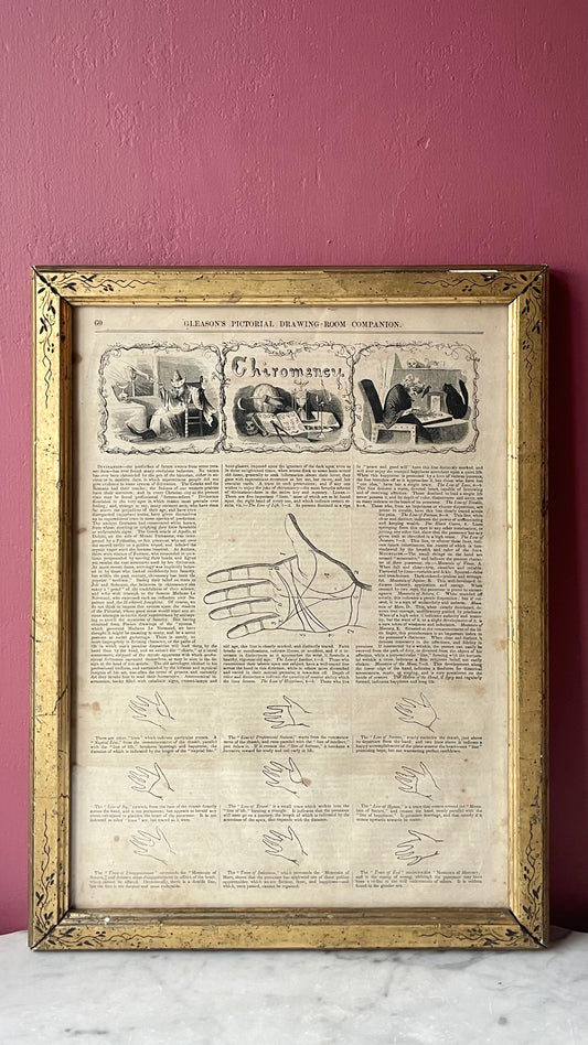 Victorian Chiromancy Print | Palm Reading| Fortune Telling | Gleason’s Pictorial, 1854