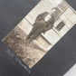 Antique Photo Albums of People in Drag