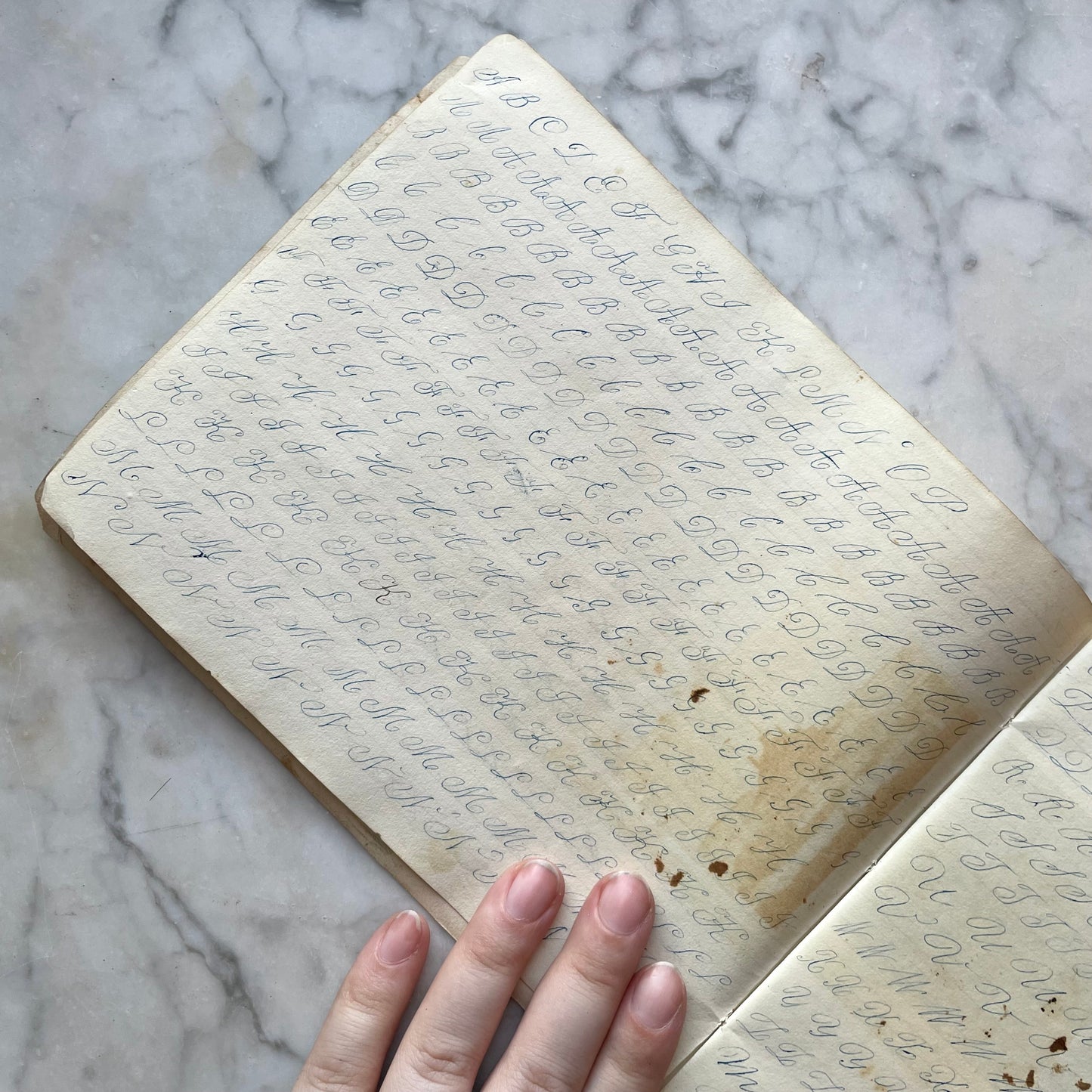Antique Penmanship Album with Die Cuts | 1842