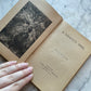 Victorian Children’s Book | The Shaggy Dog