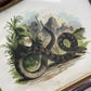 Victorian Snake Print