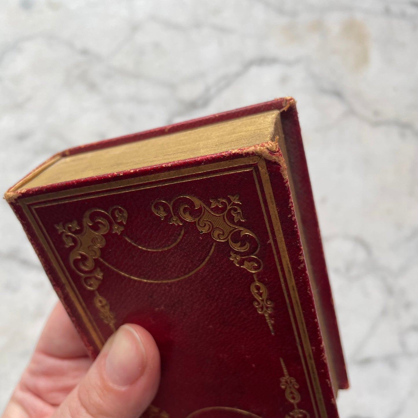 Victorian Miniature Leather Prayer Book | English & German