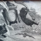 Victorian Bat Print