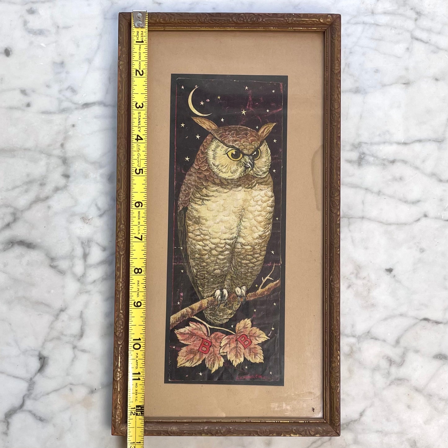 Victorian Owl Framed Advertising Card