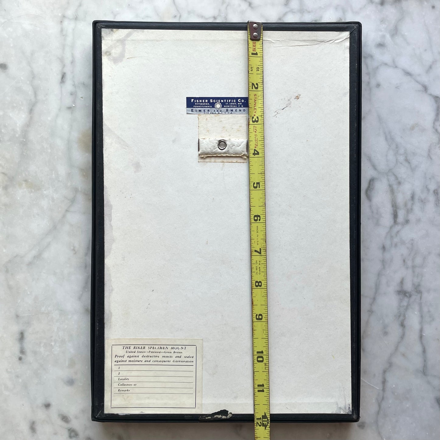 Butterfly Specimens | Vintage Riker’s Case