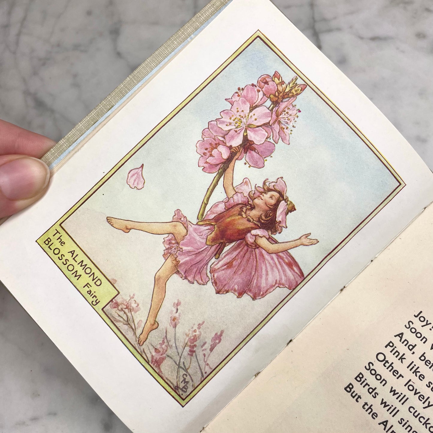 Fairies of the Trees | Cicely Mary Barker