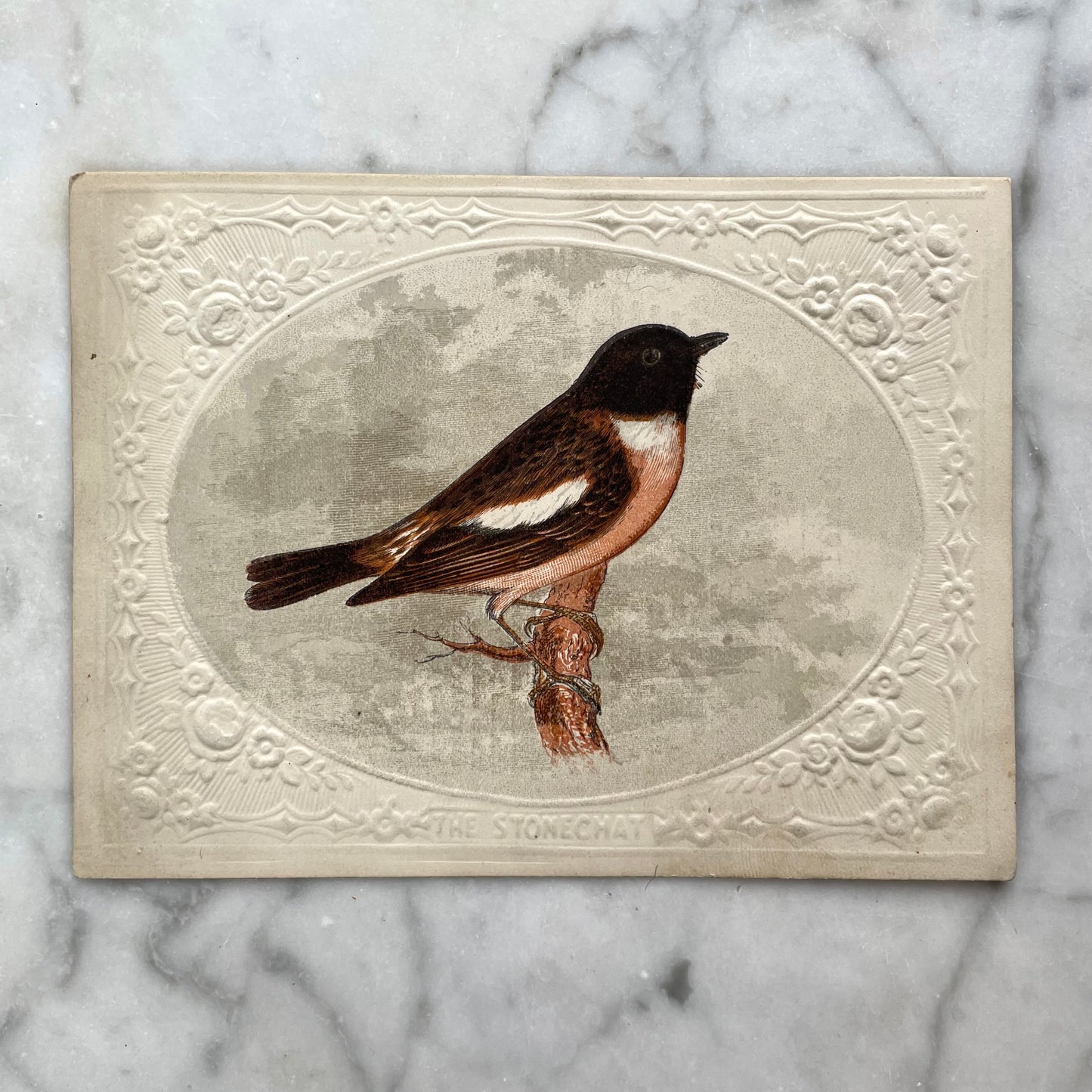 Victorian Bird Trade Card | Stonechat
