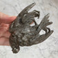 Antique Dead Bird Paperweight