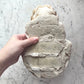 Antique Plaster Bust