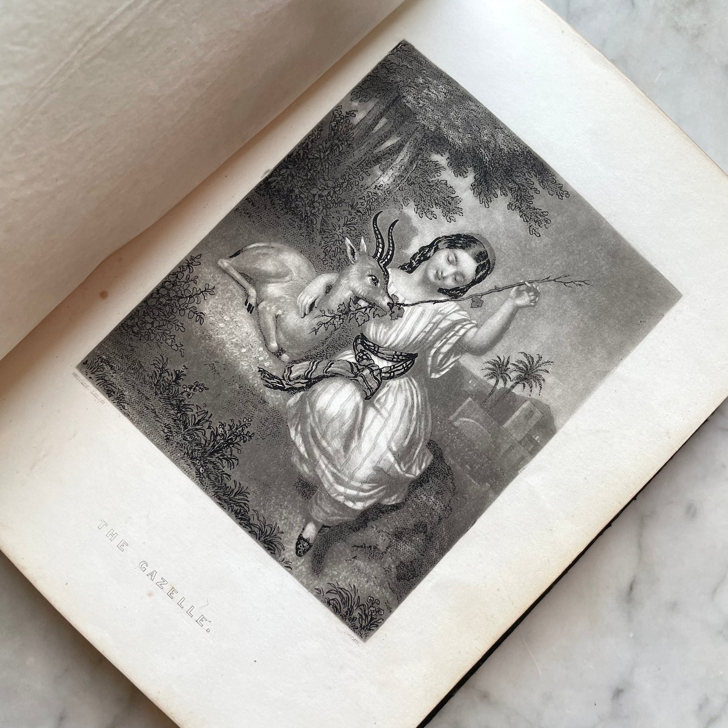The Rosebud Album | Victorian Autograph Album | 1860s