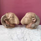 Antique Neoclassical Rams Heads