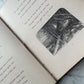 The Witch’s Daughter or Mabel Martin: A Harvest Idyl | Whittier | 1876
