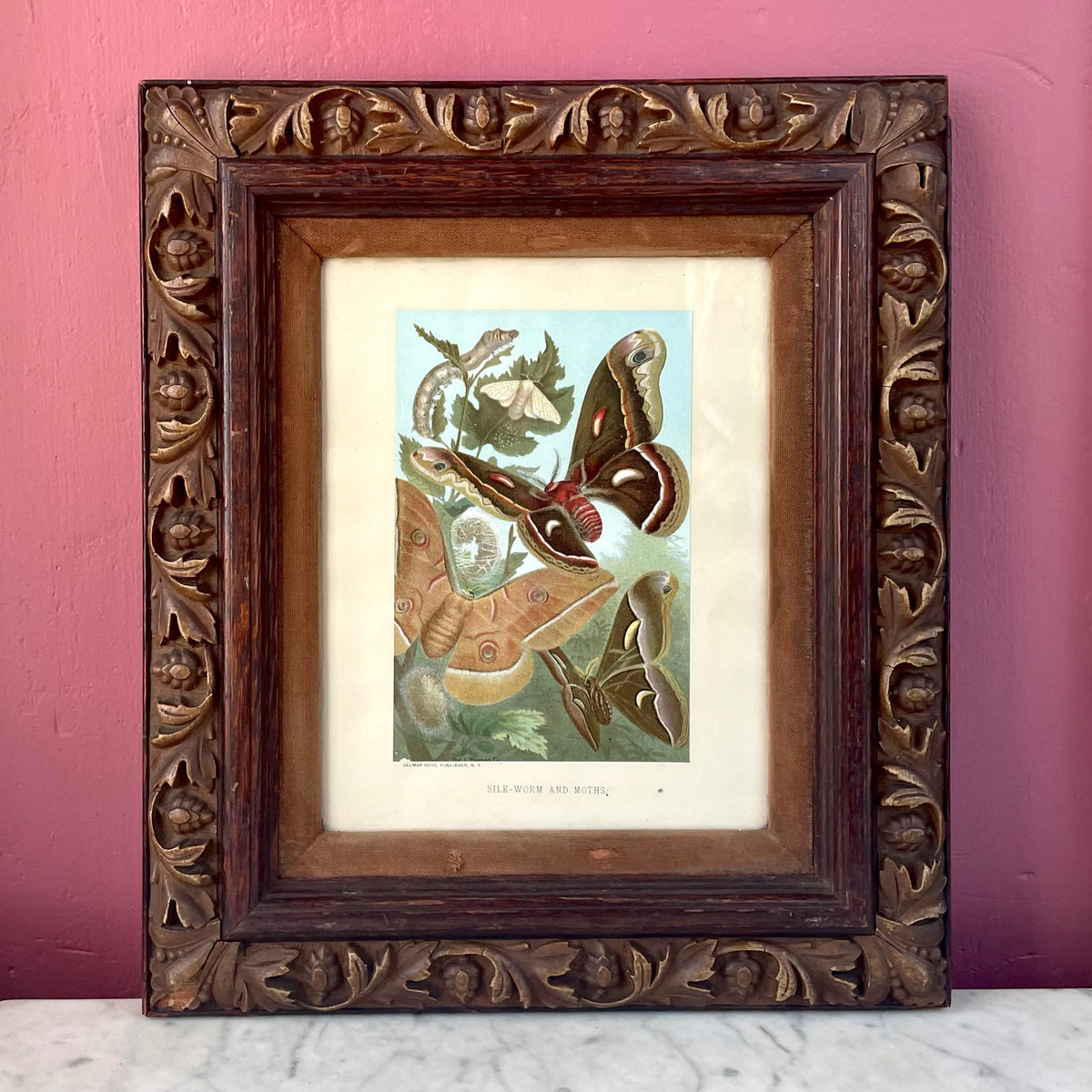 Silk Worm & Moths | Victorian Chromolithograph Print