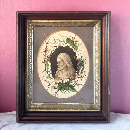 Crown of Thorns | Victorian Lithograph