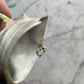 Devil Witch Pitcher | Schafer & Vater