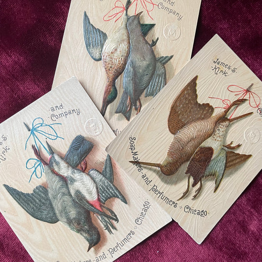 Dead Birds | Victorian Trade Cards with Game Bird Motif | James S. Kirk & Co.
