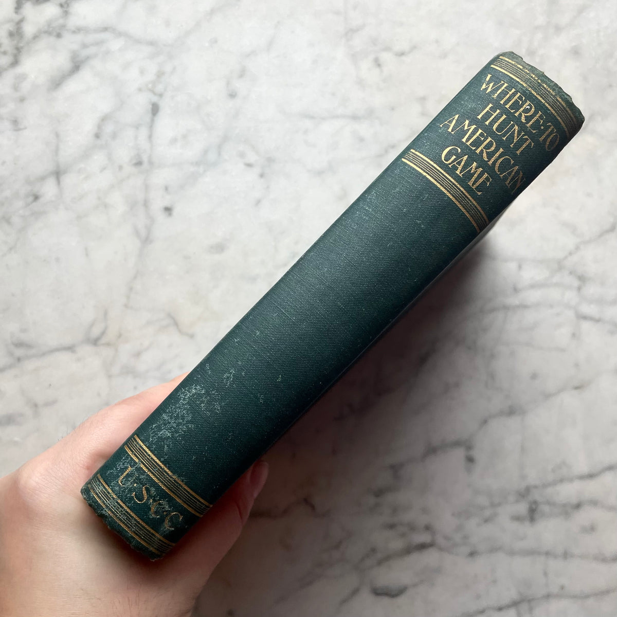 Where to Hunt American Game | 1898