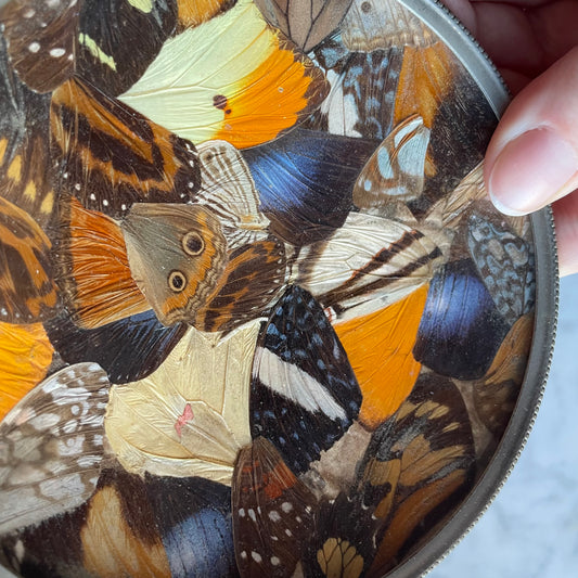 Vintage Butterfly Wing Ash Tray