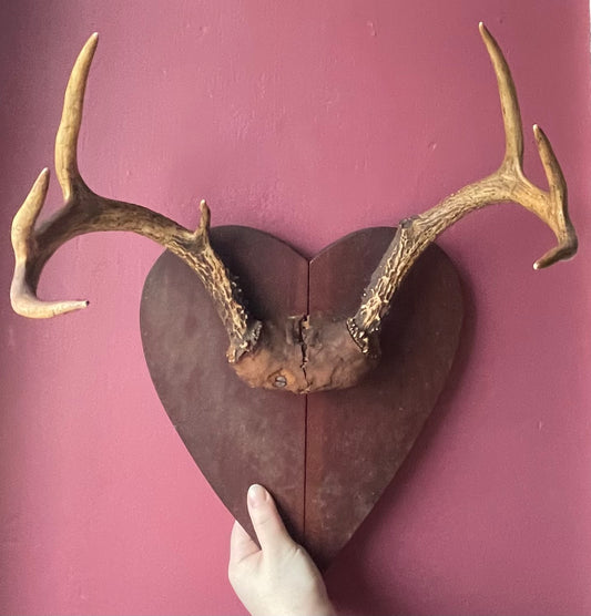 Vintage Antler Mount on Heart Shaped Board